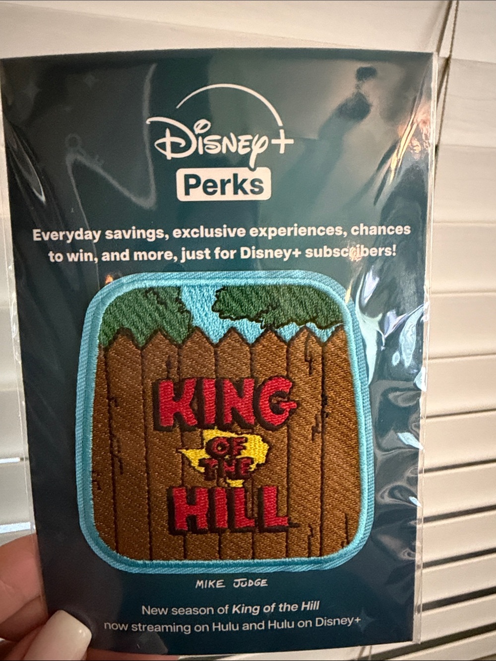 Disney King of the Hill Embroidered Patch — Red, Brown, Teal